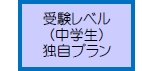 受験レベル（中学生）独自プラン