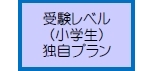 受験レベル（小学生）独自プラン